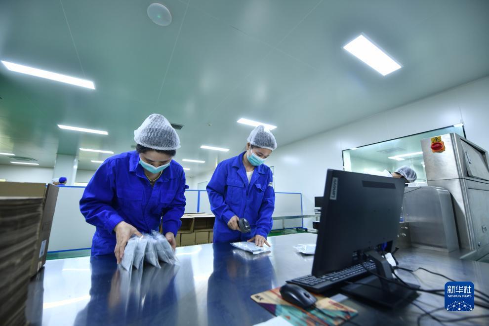 鸿运高手论坛